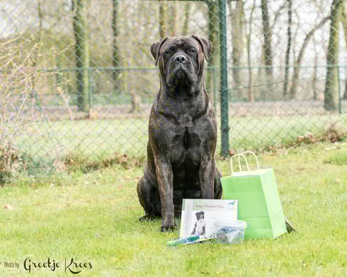geslaagd voor de jonge hondencursus bij hondenschool Dogwish, maart 2018