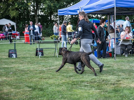7 juli 19 dogshow Echt