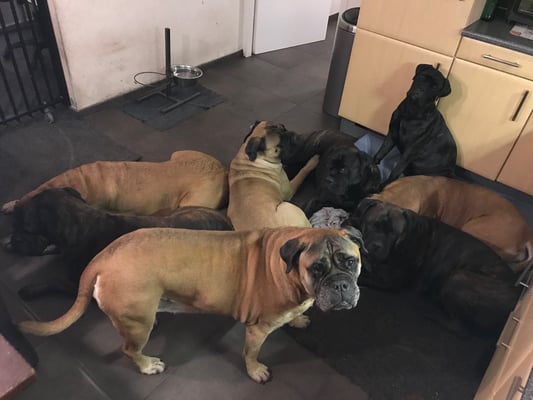 Roos en al haar kinderen en kleinkinderen.