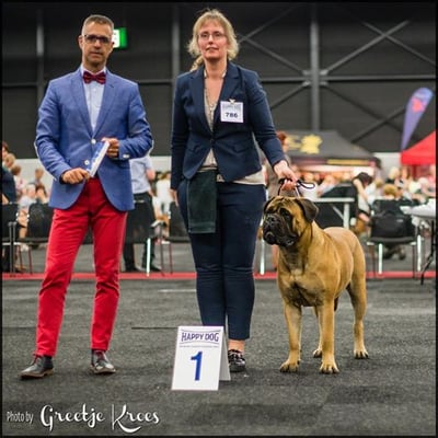 JCAC en res. CAC paashow 2017 Arnhem