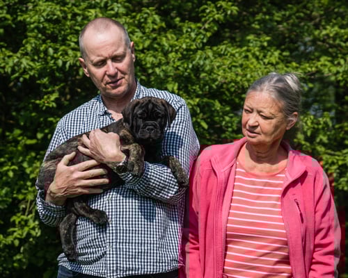 The Peatcutter's Say it in French 'Branco' (bandje donder blauw)