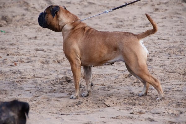 Neeltje 1 jaar en 11 mnd oud