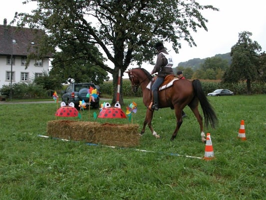 KLP im Jahr 2004 - Foto: Claudia Spitz