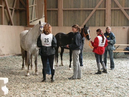 Distanzritt im 2004 - Foto: Claudia Spitz