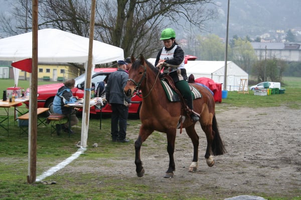 Foto: Sibylle Commons