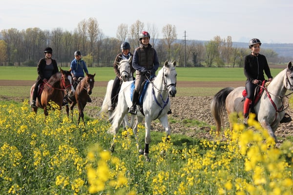 Kaderweekend 2014 - Foto: Jenny Commons