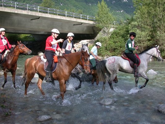 Distanzritt im 2002 - Foto: Claudia Spitz