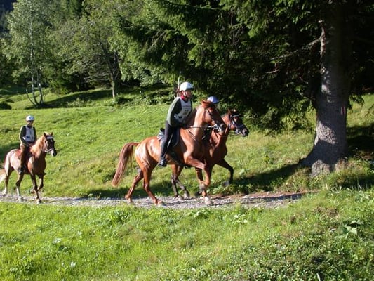 Distanzritt - Foto: Claudia Spitz