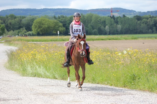 Distanzritt Altikon 2014 - Foto: Jenny Commons