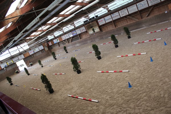 Schweizermeisterschaft in Eiken 2013 - Foto: Jenny Commons