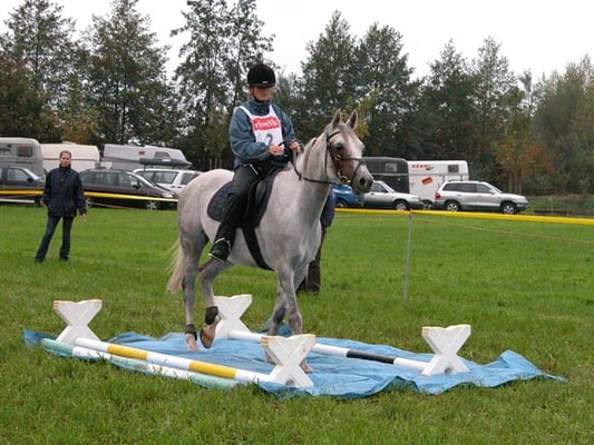 KLP im Jahr 2004 - Foto: Claudia Spitz