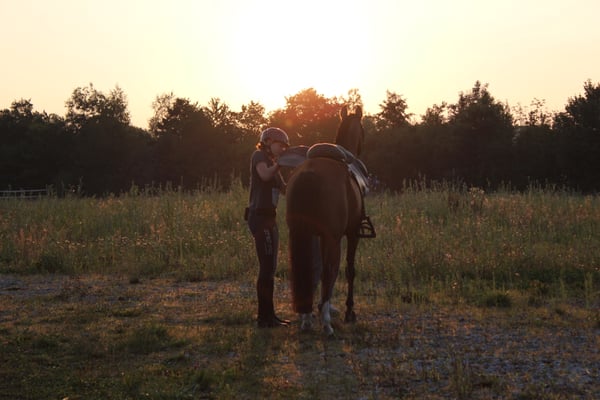 Distanzritt Lägern 2012 - Foto: Jenny Commons