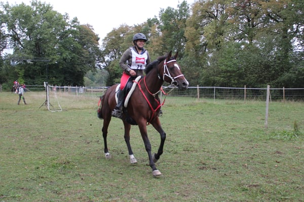 Die Freude am Distanzreiten - Distanzritt Lyss 2018 - Foto: Jenny Commons