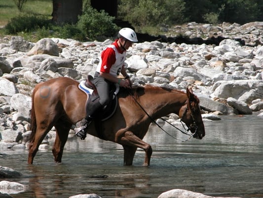 Distanzritt im 2003 - Foto: Claudia Spitz