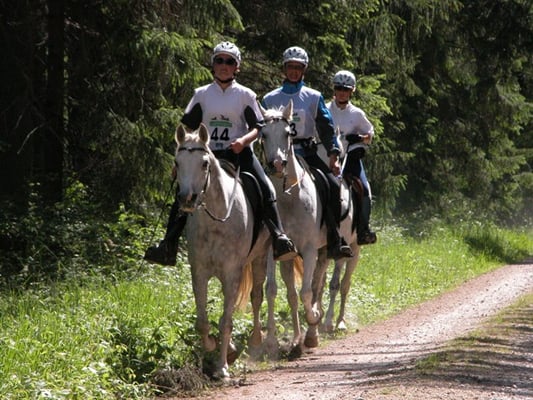 Distanzritt im 2004 - Foto: Claudia Spitz