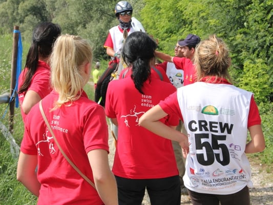 EM der jungen Reiter in Verona (ITA) 2014 - Foto: Jenny Commons