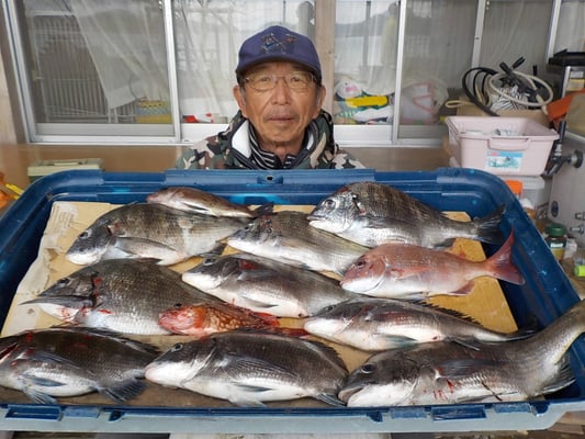 ４月２日　ダゴチン釣りで久保さん　チヌ、メイタ９匹　タイ１匹