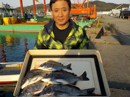 ４月４日　磯釣りで古江さん　チヌ４０㎝を頭に５匹