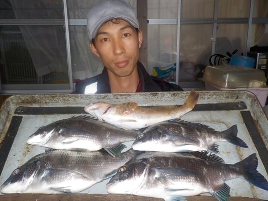 ４月７日　磯釣りで北川さん　チヌ、メイタ４匹　アイナメ１匹