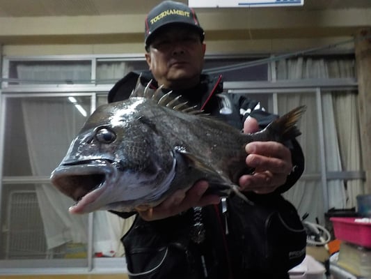 ４月１日　磯釣りで宮﨑さん　良がチヌ４６．５㎝を頭に２匹