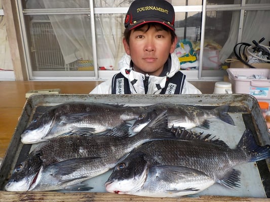 ４月１日　磯釣で渡辺さん　チヌ４２㎝を頭に４匹