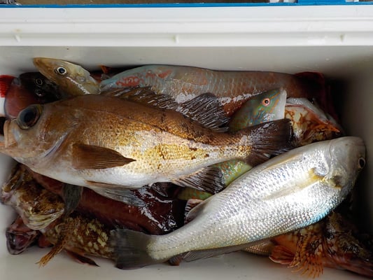   ４月５日　船外機付きレンタルボートで宮﨑さん　  キス３０匹　メバル、ガラカブ４０匹