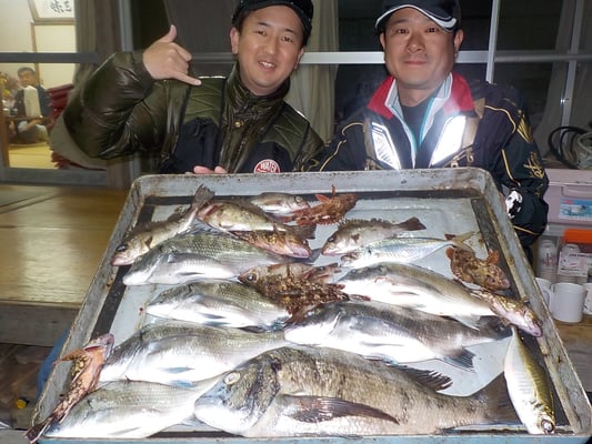 ４月１日　磯釣りで上田さん　斉藤さん　チヌ４１㎝を頭に７匹　メバル、ガラカブ、アジ