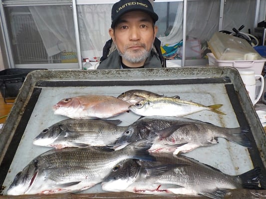 ４月８日　磯釣りで竹口さん　チヌ、メイタ４匹　タイ、アジ、メバル