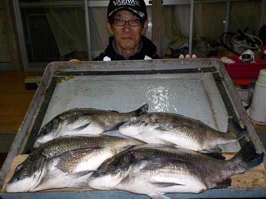 ４月３日　磯釣りで飯塚さん　チヌ４３．５㎝を頭に４匹
