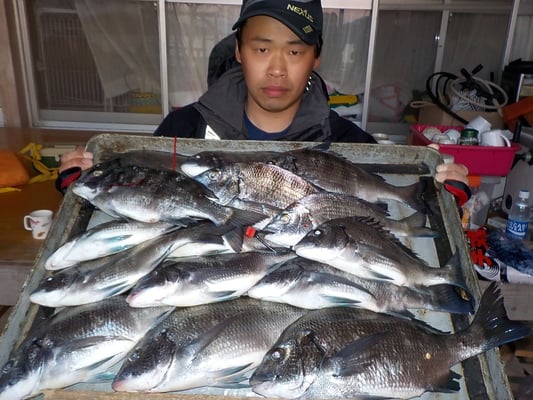 ４月２日　磯釣りで永津さん(２人）　チヌ、メイタ１５匹