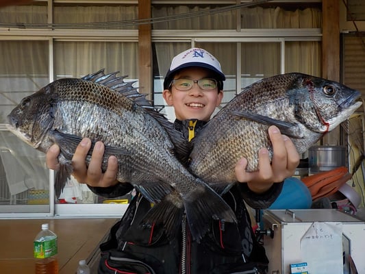 ４月４日　磯釣りで一法師さん　チヌ４０㎝オーバー２匹