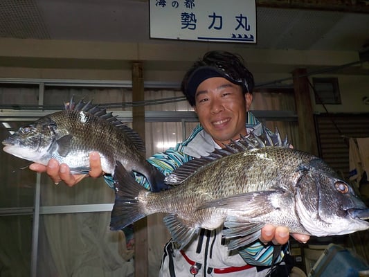 ４月５日　磯釣りで陣内さん　良型チヌ４５㎝・３５㎝