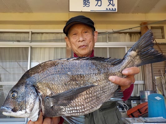 ４月３日　フカセ釣りで片岡さん　ガバチヌ５０．２㎝