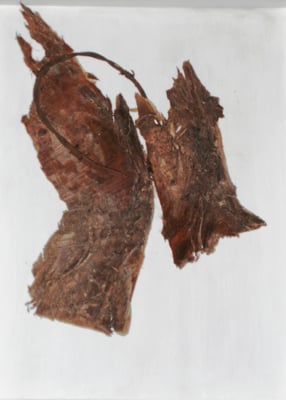 "Reliquar VI" - Holz/Rinde/Stacheldraht - 30 x 30 - 2011