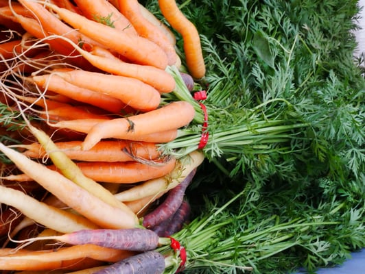 Carottes bottes