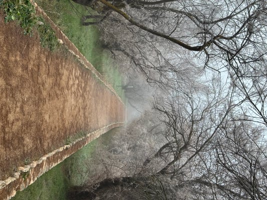 Eisiger Morgen in Tablas de Daimiel