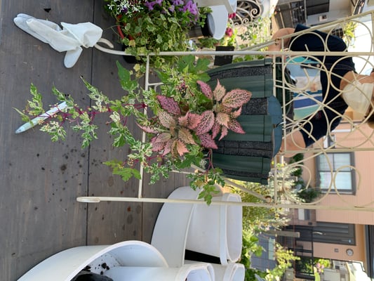 ハンギングバスケットワークショップ