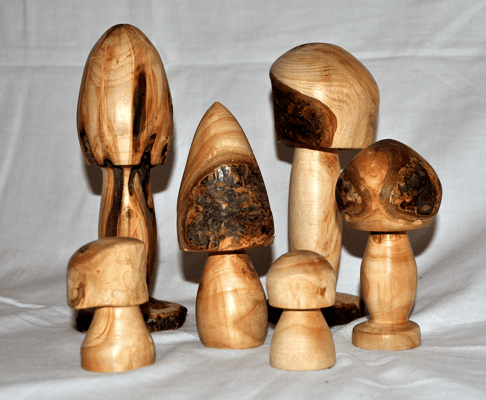 Pilze aus Ästen mit Naturrand