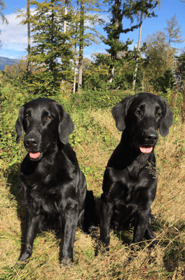 Mutter und Tochter - Fée und Paige