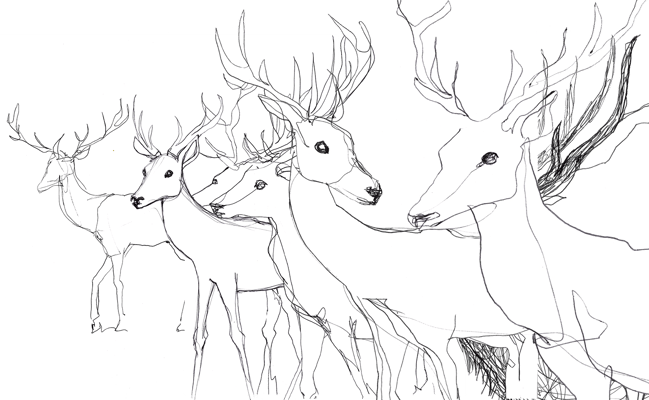 Composition idéale wip