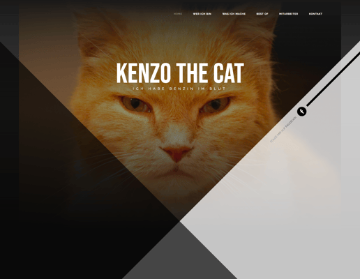 Kunde: Kenzo the Cat (Ehrenamt)