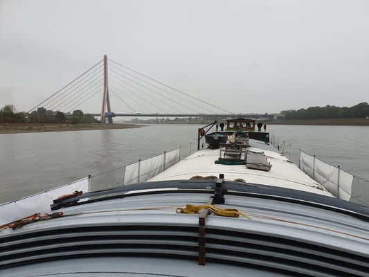 WILLI oberhalb der Fleher Brücke zu Berg (Rhein-km 732) [© Andy R. 14.09.2022]