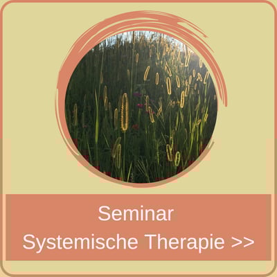 Seminare in Systemischer Therapie