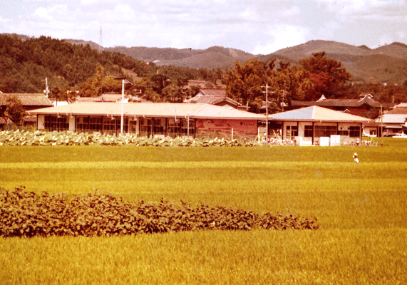 一面の田畑の中に完成した2代目園舎（1970年）