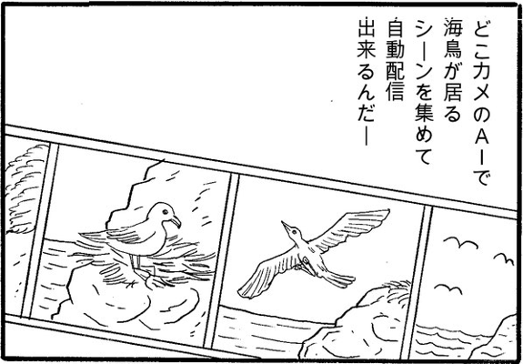 どこカメのAIで海鳥が居るシーンを集めて自動配信できるんだ