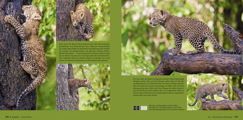 Abenteuer Safari Fotografie, demipress Verlag