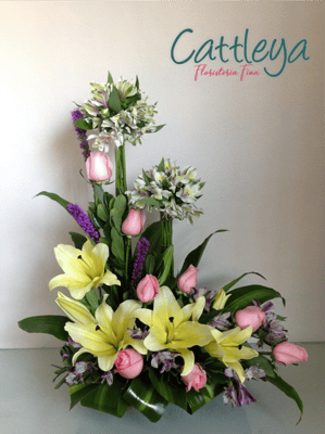 DF#29  $1,500.- VA INC.    (BASES SUJETAS A DISPONIBILIDAD)