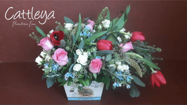 DF#05  (BASES SUJETAS A DISPONIBILIDAD)