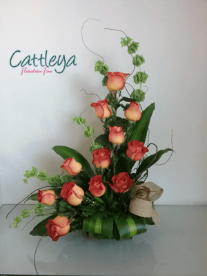 DRO18  12 ROSAS DE COLOR  $730.- IVA INC. 