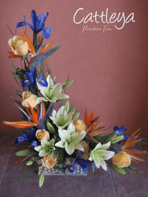 DF#28  (BASES SUJETAS A DISPONIBILIDAD)